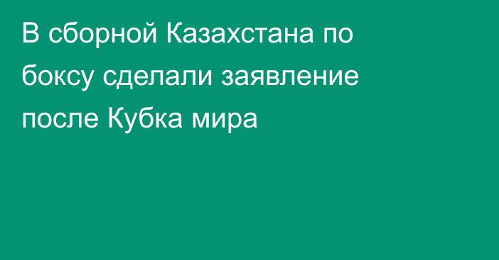 В сборной Казахстана по боксу сделали заявление после Кубка мира