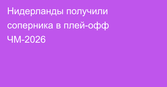 Нидерланды получили соперника в плей-офф ЧМ-2026
