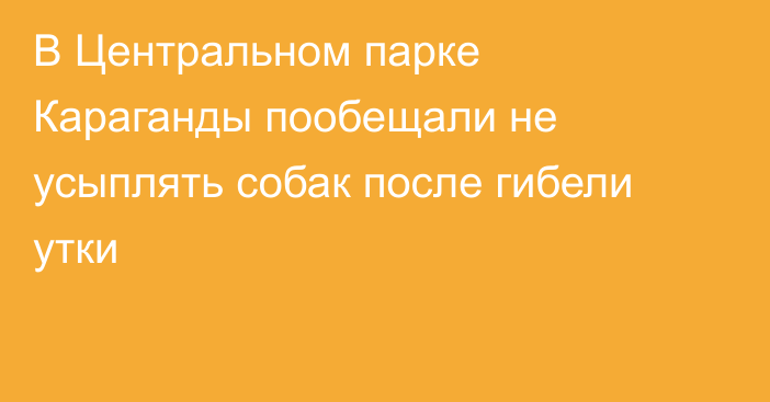 В Центральном парке Караганды пообещали не усыплять собак после гибели утки