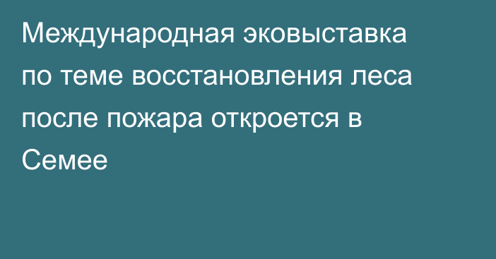 Международная эковыставка по теме восстановления леса после пожара откроется в Семее