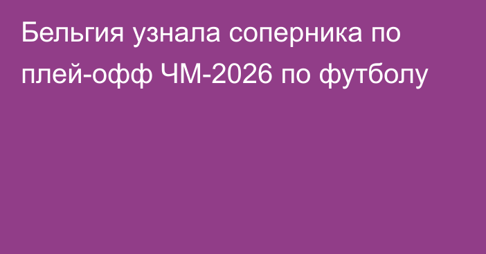 Бельгия узнала соперника по плей-офф ЧМ-2026 по футболу
