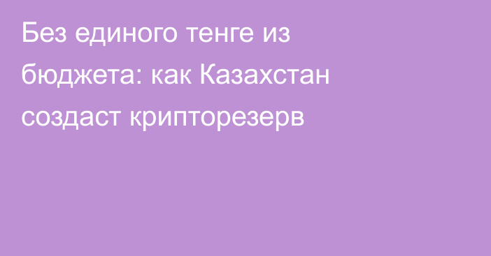 Без единого тенге из бюджета: как Казахстан создаст крипторезерв