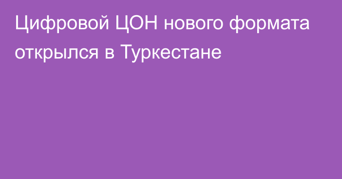 Цифровой ЦОН нового формата открылся в Туркестане