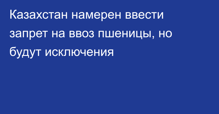 Казахстан намерен ввести запрет на ввоз пшеницы, но будут исключения