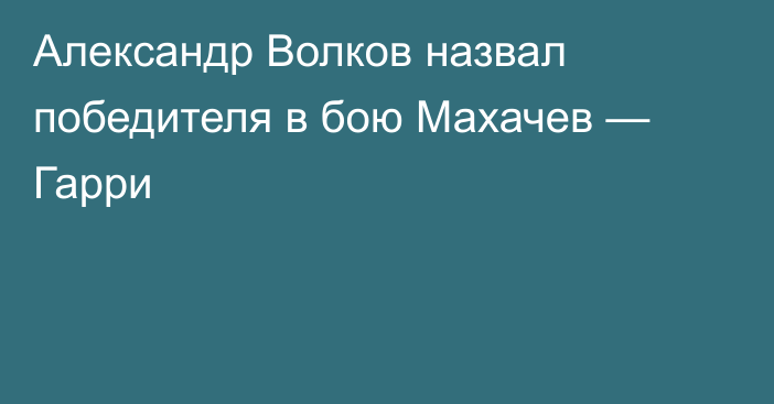 Александр Волков назвал победителя в бою Махачев — Гарри