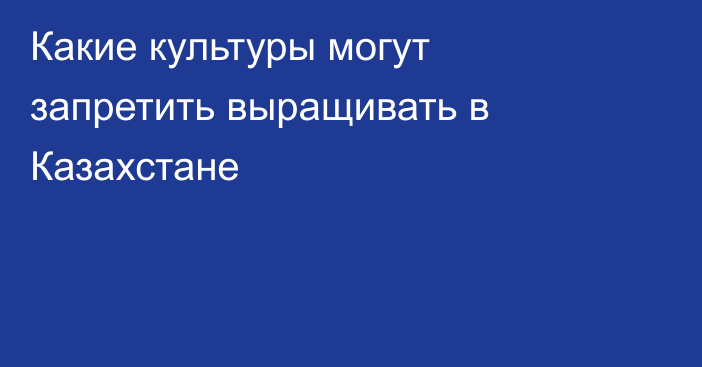 Какие культуры могут запретить выращивать в Казахстане