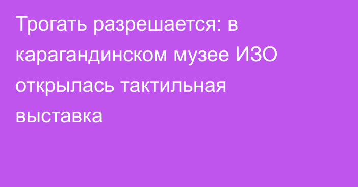 Трогать разрешается: в карагандинском музее ИЗО открылась тактильная выставка