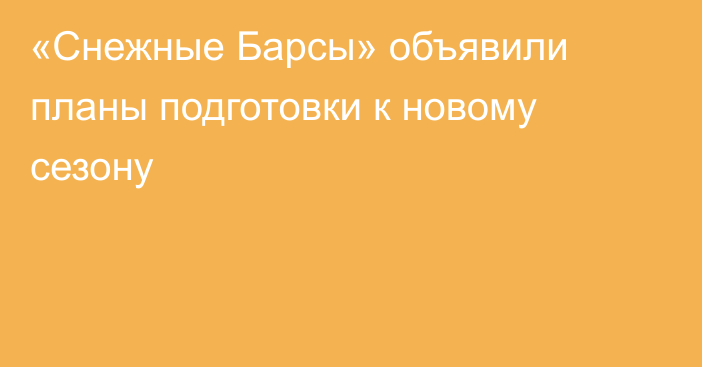 «Снежные Барсы» объявили планы подготовки к новому сезону