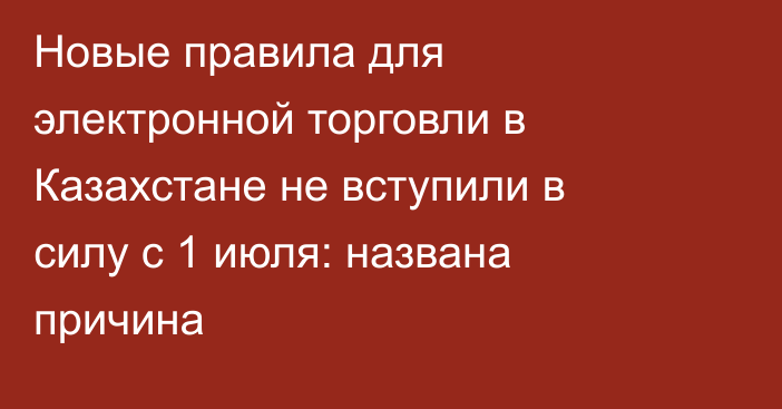 Новые правила для электронной торговли в Казахстане не вступили в силу с 1 июля: названа причина