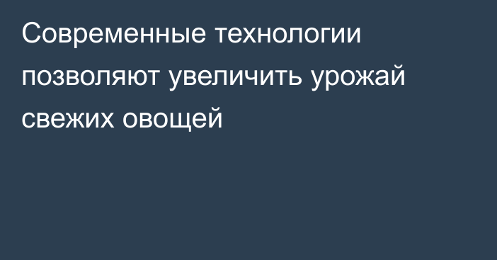 Современные технологии позволяют увеличить урожай свежих овощей
