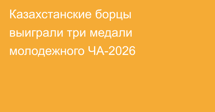 Казахстанские борцы выиграли три медали молодежного ЧА-2026