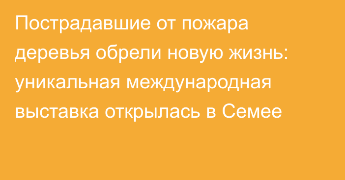 Пострадавшие от пожара деревья обрели новую жизнь: уникальная международная выставка открылась в Семее