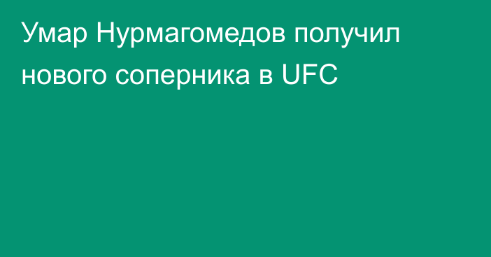 Умар Нурмагомедов получил нового соперника в UFC