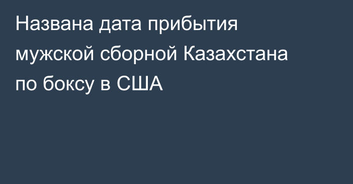 Названа дата прибытия мужской сборной Казахстана по боксу в США