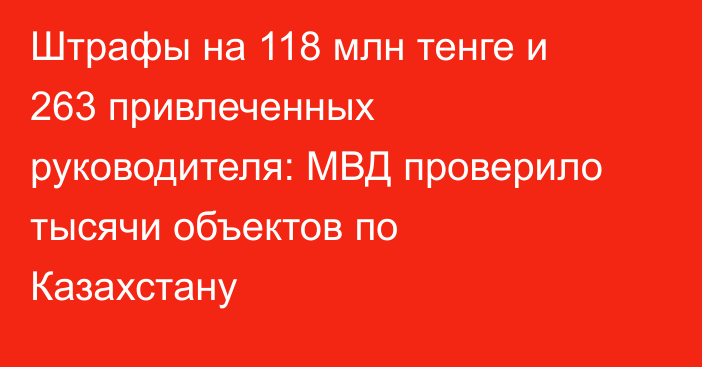 Штрафы на 118 млн тенге и 263 привлеченных руководителя: МВД проверило тысячи объектов по Казахстану