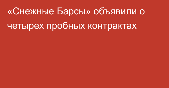 «Снежные Барсы» объявили о четырех пробных контрактах