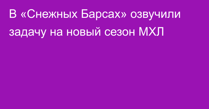 В «Снежных Барсах» озвучили задачу на новый сезон МХЛ