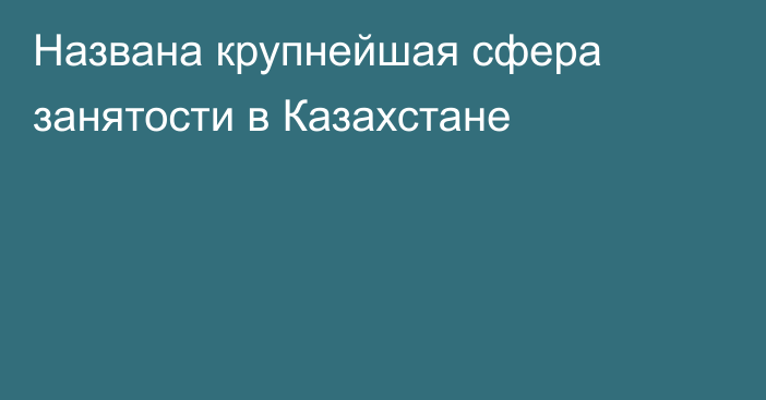 Названа крупнейшая сфера занятости в Казахстане