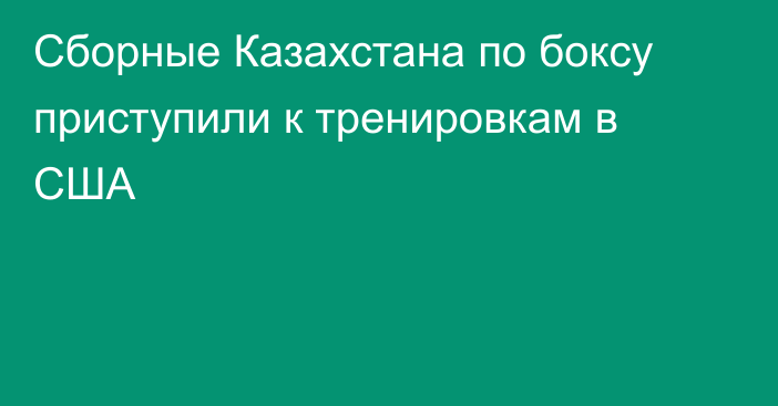 Сборные Казахстана по боксу приступили к тренировкам в США