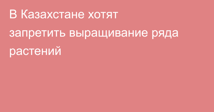 В Казахстане хотят запретить выращивание ряда растений