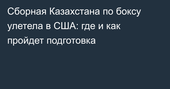 Сборная Казахстана по боксу улетела в США: где и как пройдет подготовка
