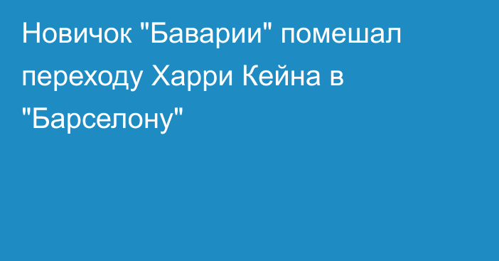 Новичок 