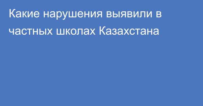 Какие нарушения выявили в частных школах Казахстана