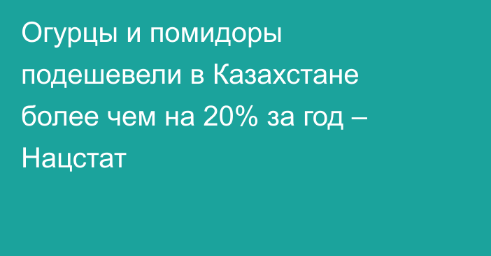 Огурцы и помидоры подешевели в Казахстане более чем на 20% за год – Нацстат