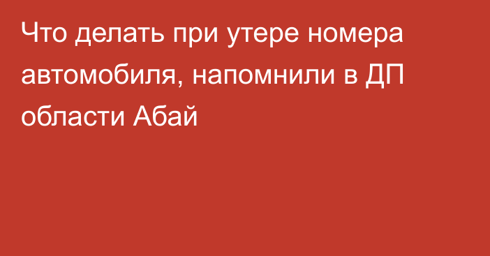 Что делать при утере номера автомобиля, напомнили в ДП области Абай