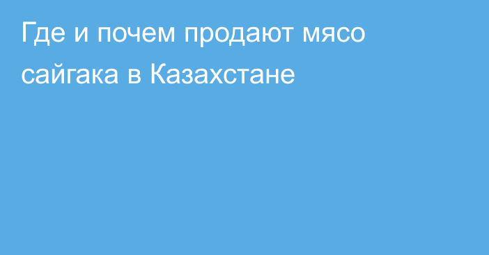 Где и почем продают мясо сайгака в Казахстане