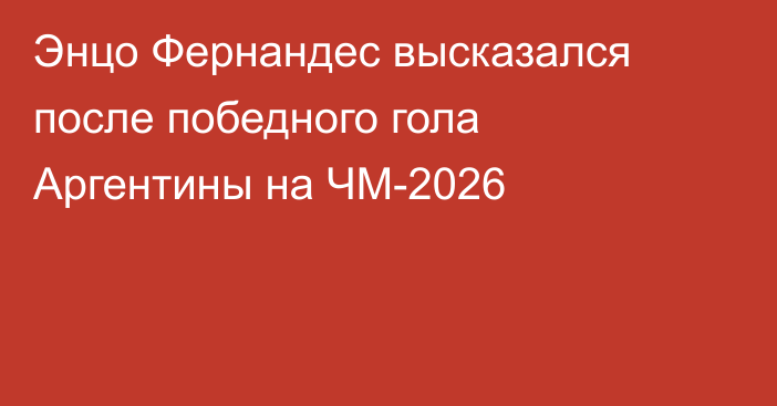 Энцо Фернандес высказался после победного гола Аргентины на ЧМ-2026