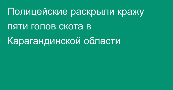 Полицейские раскрыли кражу пяти голов скота в Карагандинской области