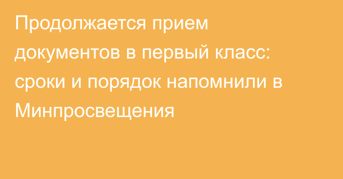 Продолжается прием документов в первый класс: сроки и порядок напомнили в Минпросвещения