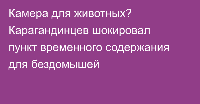 Камера для животных? Карагандинцев шокировал пункт временного содержания для бездомышей