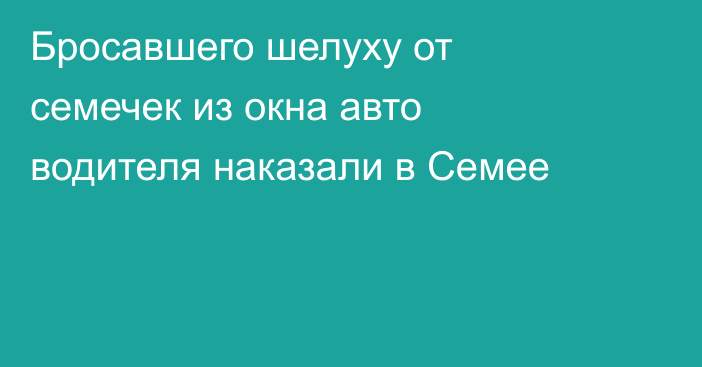 Бросавшего шелуху  от семечек из окна авто водителя наказали в Семее