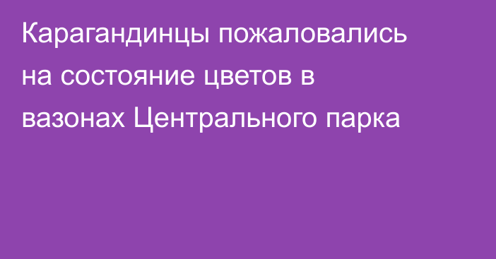 Карагандинцы пожаловались на состояние цветов в вазонах Центрального парка