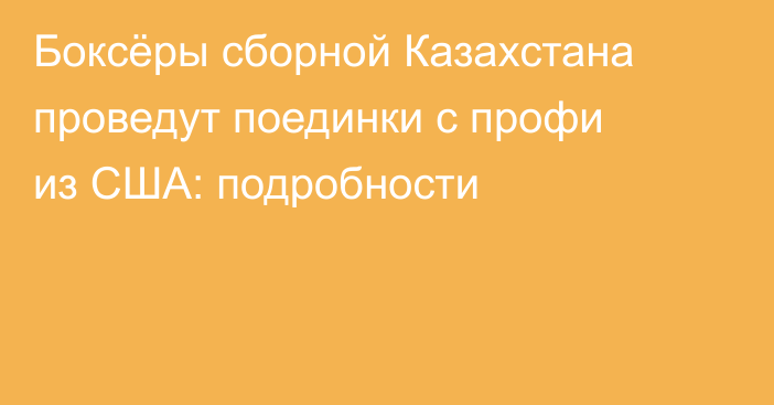 Боксёры сборной Казахстана проведут поединки с профи из США: подробности