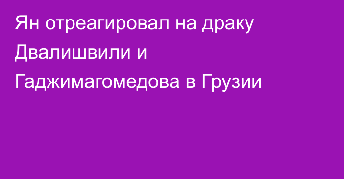 Ян отреагировал на драку Двалишвили и Гаджимагомедова в Грузии