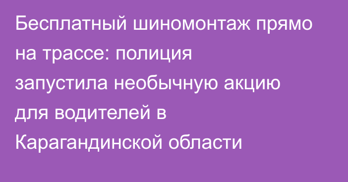 Бесплатный шиномонтаж прямо на трассе: полиция запустила необычную акцию для водителей в Карагандинской области