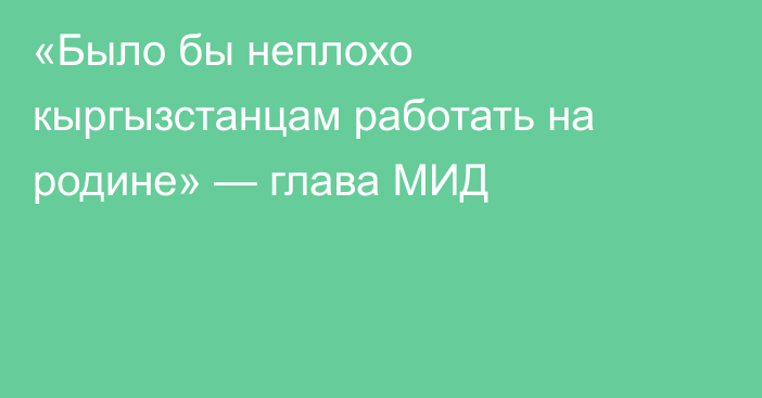  «Было бы неплохо кыргызстанцам работать на родине» — глава МИД