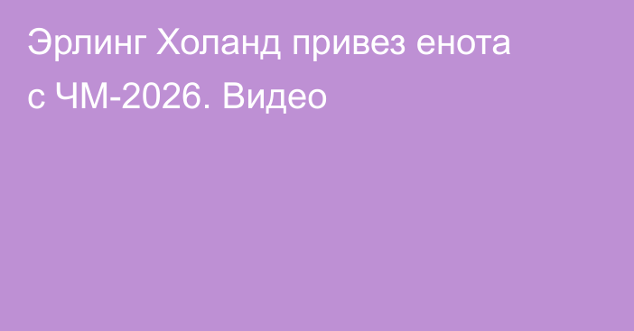 Эрлинг Холанд привез енота с ЧМ-2026. Видео