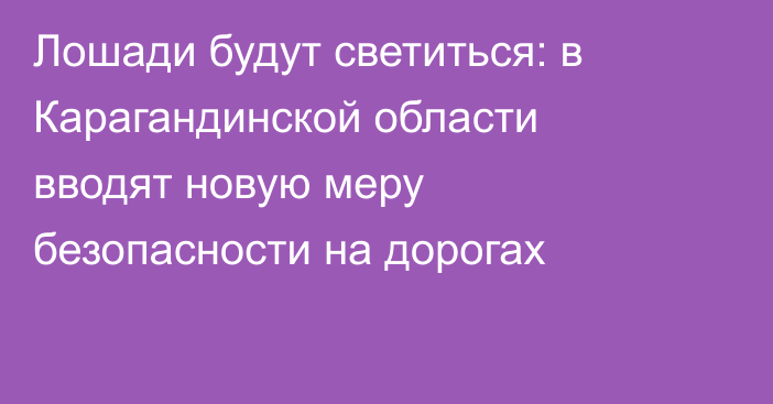 Лошади будут светиться: в Карагандинской области вводят новую меру безопасности на дорогах
