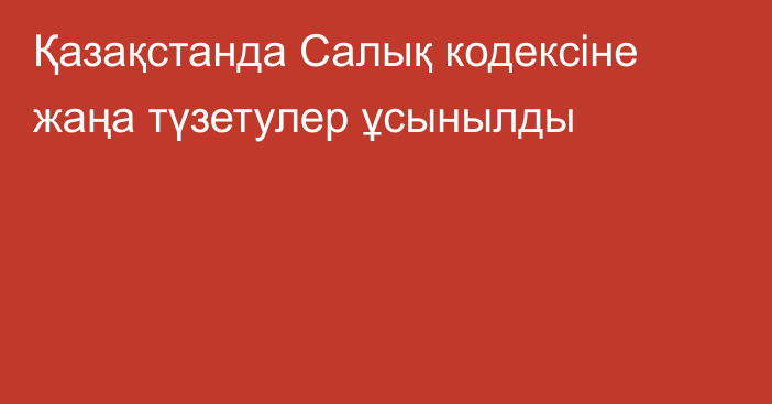 Қазақстанда Салық кодексіне жаңа түзетулер ұсынылды