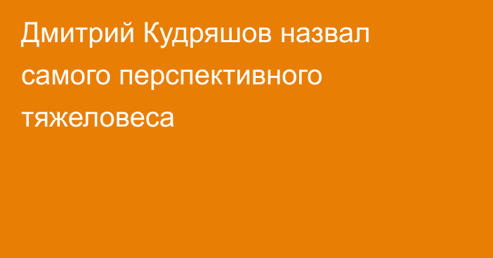 Дмитрий Кудряшов назвал самого перспективного тяжеловеса