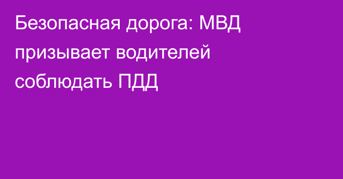 Безопасная дорога: МВД призывает водителей соблюдать ПДД