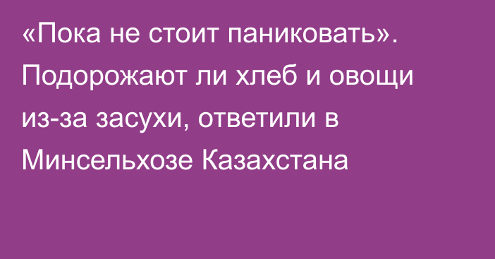 «Пока не стоит паниковать». Подорожают ли хлеб и овощи из-за засухи, ответили в Минсельхозе Казахстана