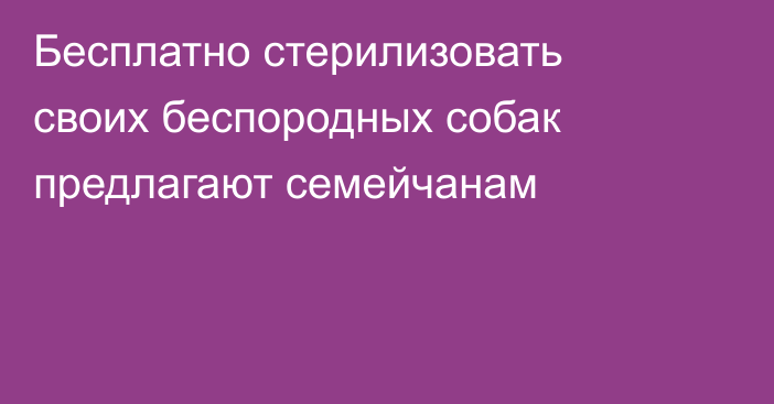 Бесплатно стерилизовать своих беспородных собак предлагают семейчанам