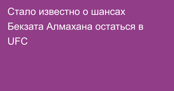 Стало известно о шансах Бекзата Алмахана остаться в UFC