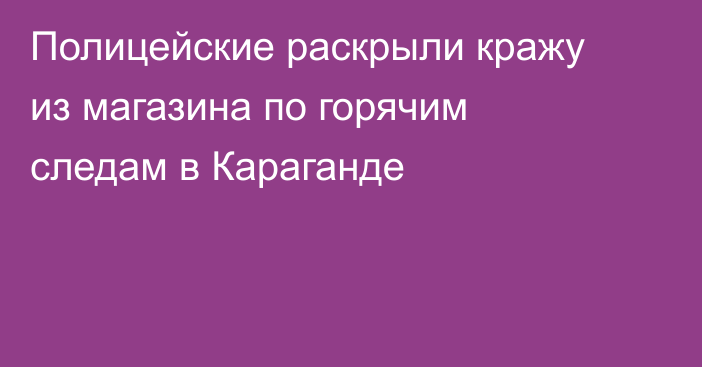 Полицейские раскрыли кражу из магазина по горячим следам в Караганде