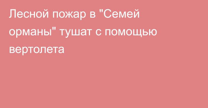 Лесной пожар в 